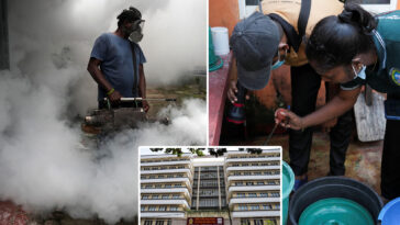 sri-lanka-battles-severe-dengue-fever-outbreak,-with-over-44k-cases-and-28-deaths-this-year