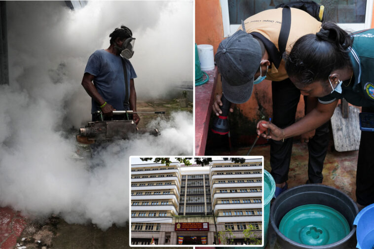 sri-lanka-battles-severe-dengue-fever-outbreak,-with-over-44k-cases-and-28-deaths-this-year