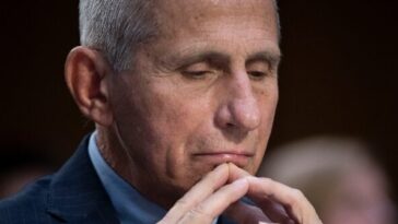 he-‘lied’:-tulsi-gabbard-releases-evidence-fauci-allegedly-directed-funding-for-‘risky’-coronavirus-research-linked-to-big-pharma-and-pursuit-of-‘universal-vaccines’