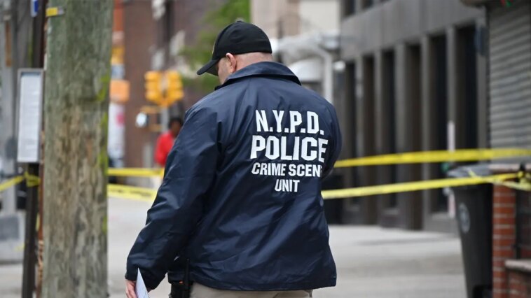 nypd-officer-shot,-gunman-killed-after-armed-barricaded-standoff-in-brooklyn:-police