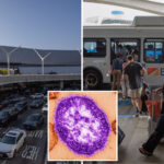 measles-case-reported-at-lax-as-global-world-cup-travel-sparks-fears-of-spread