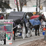 mamdani-pressured-to-ban-nyc’s-iconic-horse-carriage-rides-after-teen-tourist’s-death