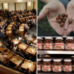 nj-gets-roasted-over-‘nutty’-plan-to-make-hazelnut-the-official-state-nut:-‘why-on-earth?’