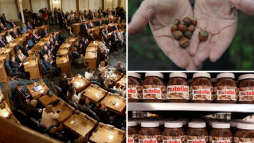 nj-gets-roasted-over-‘nutty’-plan-to-make-hazelnut-the-official-state-nut:-‘why-on-earth?’