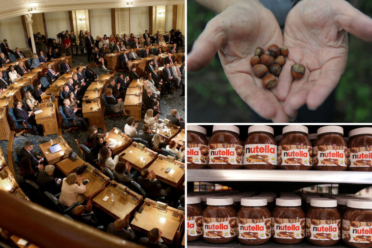 nj-gets-roasted-over-‘nutty’-plan-to-make-hazelnut-the-official-state-nut:-‘why-on-earth?’