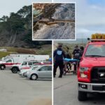 mom-and-child-in-serious-condition-after-‘sneaker-wave’-dragged-them-out-to-sea-in-latest-beachside-horror