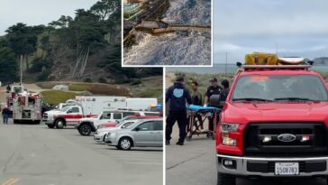 mom-and-child-in-serious-condition-after-‘sneaker-wave’-dragged-them-out-to-sea-in-latest-beachside-horror