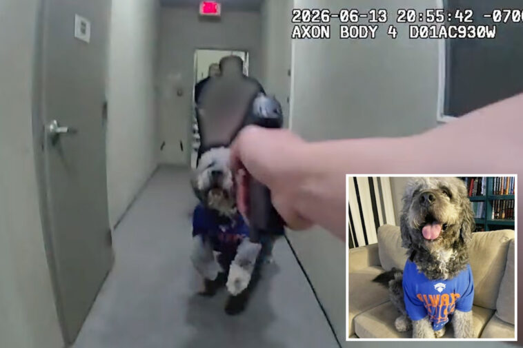 horrific-bodycam-video-reveals-moment-beloved-dog-is-shot-4-times-by-lapd-officer
