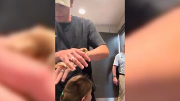 man-who-called-cops-on-father-helping-his-young-daughters-in-women’s-restroom-fired-after-viral-backlash