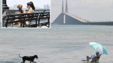 that’s-ruff!-how-nyc-ranks-on-nation-wide-pet-friendly-scale:-new-survey