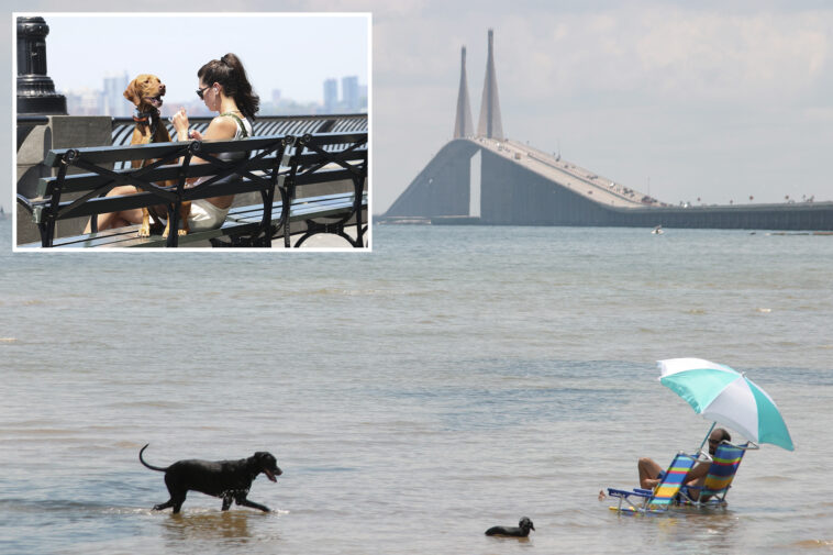 that’s-ruff!-how-nyc-ranks-on-nation-wide-pet-friendly-scale:-new-survey