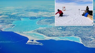 how-scientists-are-using-underwater-drones-to-thicken-rapidly-melting-arctic-ice
