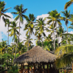 watch:-one-dead,-1700-evacuated-as-inferno-races-through-popular-caribbean-resort