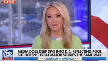 kayleigh-mcenany-goes-off-on-fake-news-media-for-hyperventilating-over-lincoln-reflecting-pool-(video)