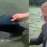 new:-trump-comments-on-vandalism-of-reflecting-pool-–-nukes-“lightweight”-jonathan-karl-for-“trying-to-rip-the-rubber-off-of-the-surface”-(video)