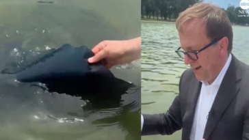 new:-trump-comments-on-vandalism-of-reflecting-pool-–-nukes-“lightweight”-jonathan-karl-for-“trying-to-rip-the-rubber-off-of-the-surface”-(video)