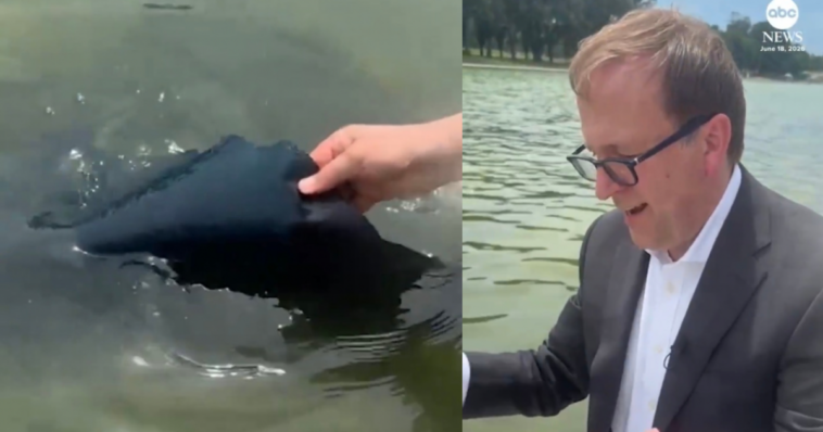new:-trump-comments-on-vandalism-of-reflecting-pool-–-nukes-“lightweight”-jonathan-karl-for-“trying-to-rip-the-rubber-off-of-the-surface”-(video)