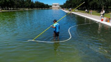 revamped-reflecting-pool-damaged-by-‘radical-left-lunatics,’-trump-says