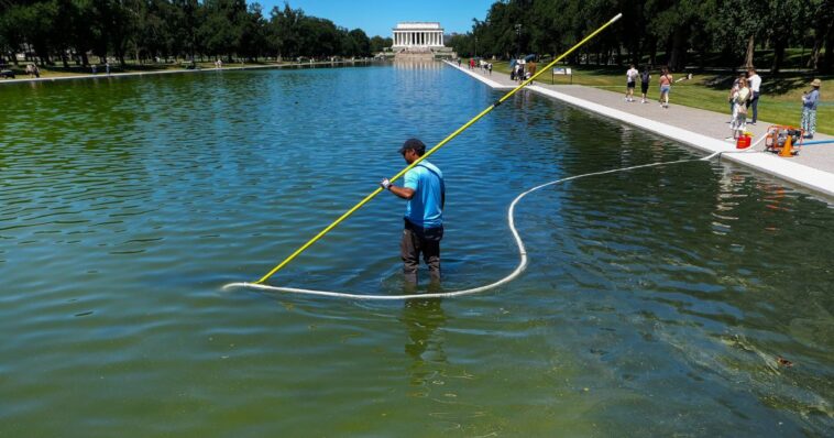 revamped-reflecting-pool-damaged-by-‘radical-left-lunatics,’-trump-says