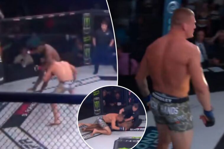 mma-fight-ends-in-four-seconds-after-stunning-one-punch-knockout