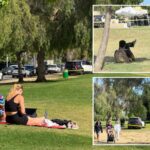 seemingly-perfect-day-at-serene-los-angeles-park-hides-disturbing-reality