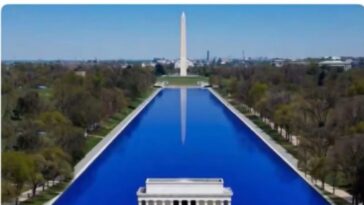 former-olympian-david-hearn-arrested-for-destruction-of-government-property-for-vandalizing-reflecting-pool