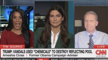 watch:-“that’s-how-broken-brained-they-are”-–-scott-jennings-slams-reflecting-pool-vandals,-spars-with-cnn-guest-ignoring-vandalism-and-attacking-trump