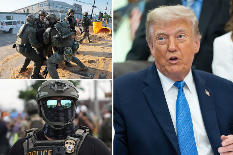 cool-name!-trump-asks-americans-to-vote-on-this-acronym-rebranding-ice