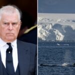 ex-prince-andrew-could-lose-antarctic-plateau-named-in-his-honor