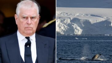 ex-prince-andrew-could-lose-antarctic-plateau-named-in-his-honor