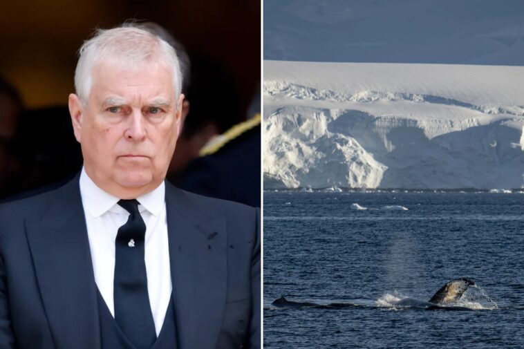 ex-prince-andrew-could-lose-antarctic-plateau-named-in-his-honor