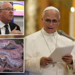 top-banker-tried-to-sell-pope-leo-pitch-on-rare-earth-mining-to-supply-tech-boom