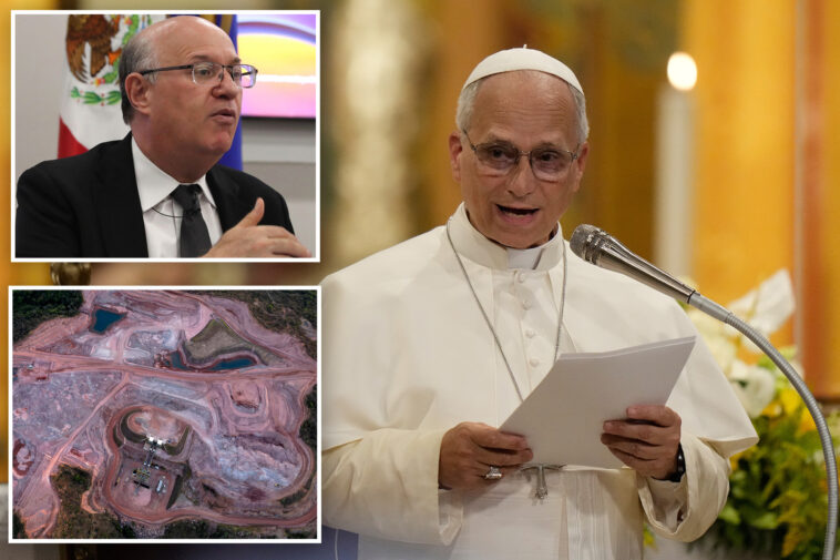 top-banker-tried-to-sell-pope-leo-pitch-on-rare-earth-mining-to-supply-tech-boom