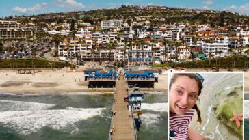 socal-beachgoer-makes-horrifying-discovery-in-sand
