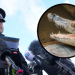 video-—-england:-police-release-man-accused-of-forcing-toddler-into-zoo’s-crocodile-enclosure