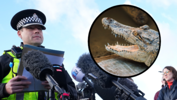 video-—-england:-police-release-man-accused-of-forcing-toddler-into-zoo’s-crocodile-enclosure