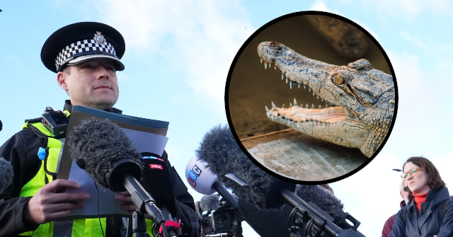 video-—-england:-police-release-man-accused-of-forcing-toddler-into-zoo’s-crocodile-enclosure