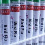 h5n1-bird-flu-confirmed-in-australia-for-the-first-time,-meaning-virus-has-now-reached-every-continent