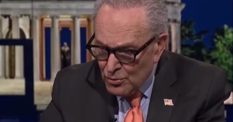 schumer-accidentally-makes-the-case-for-passing-save-america-act-during-appearance-on-ms-now-(video)