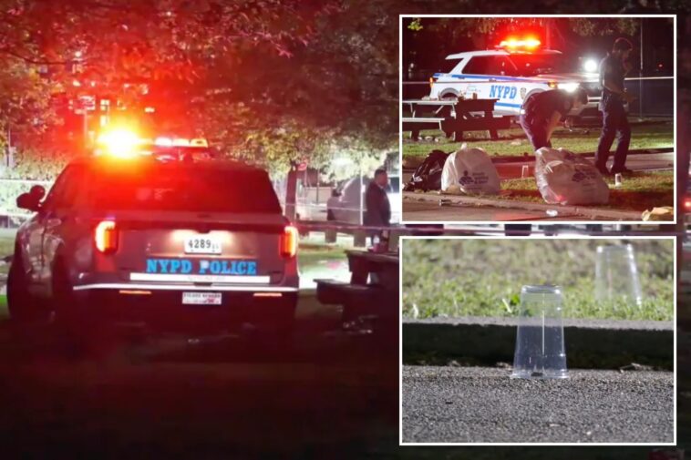 4-wounded,-including-2-teens,-in-wild-shootout-at-nyc-park