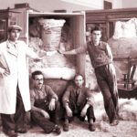 how-a-young-group-of-american-spies-saved-greece’s-precious-artifacts