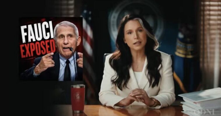 “there-is-a-path”-–-tulsi-gabbard-says-fauci-can-be-prosecuted-for-lying-to-congress-despite-preemptive-pardon