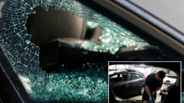 bizarre-twist-as-stunning-decline-in-bay-area-crime-hurts-business-owners:-‘we’ve-taken-quite-a-hit’