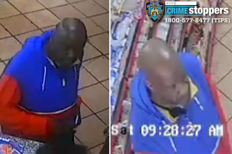 showy-sicko-lures-girl-from-popular-nyc-mall-in-broad-daylight:-cops