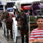 nyc-bill-to-ban-horse-carriages-to-be-renamed-for-teen-killed-in-central-park-crash