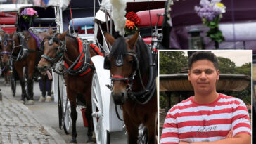 nyc-bill-to-ban-horse-carriages-to-be-renamed-for-teen-killed-in-central-park-crash