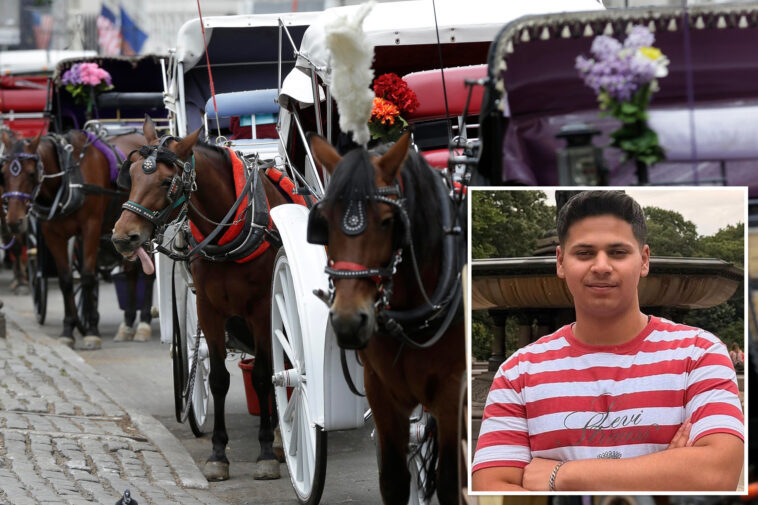 nyc-bill-to-ban-horse-carriages-to-be-renamed-for-teen-killed-in-central-park-crash