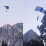 daredevil-base-jumpers-scatter-among-the-trees-after-illegally-leaping-off-yosemite’s-el-capitan