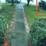 whoa!-self-driving-tesla-comes-flying-through-family’s-home-in-texas-killing-woman-(video)