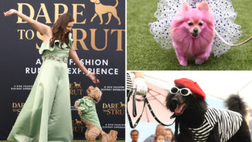 adorable-doggy-fashion-show-‘dare-to-strut’-takes-los-angeles-by-storm